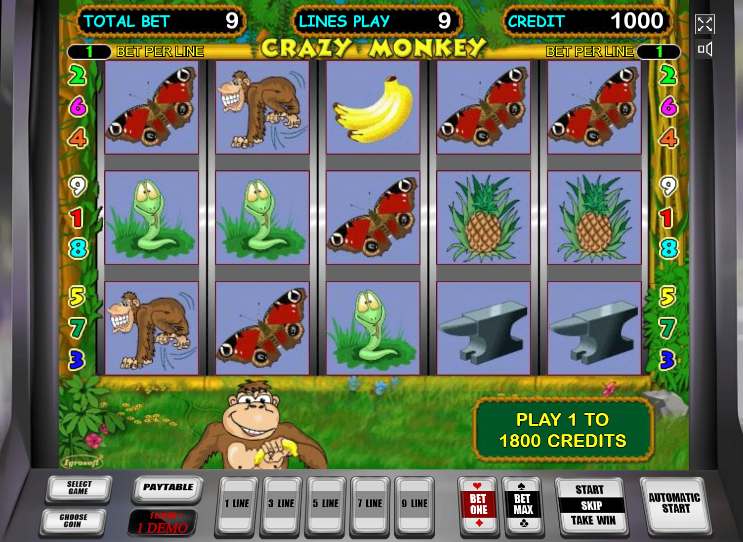 игровой автомат crazy monkey описание